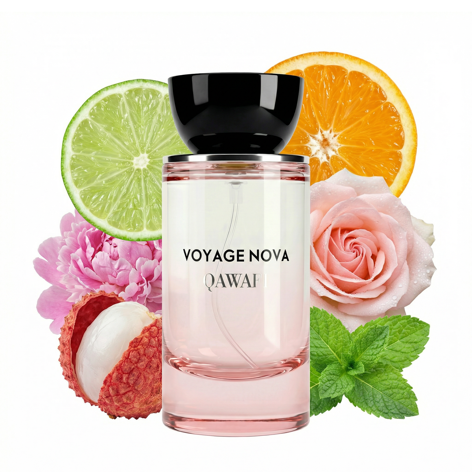 Voyage Nova